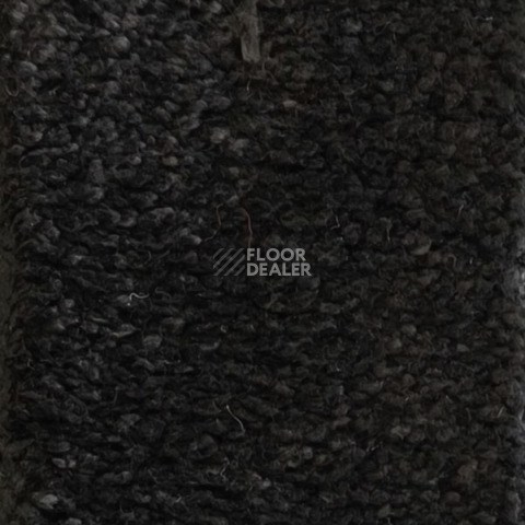 Ковролин  Black фото 1 | FLOORDEALER